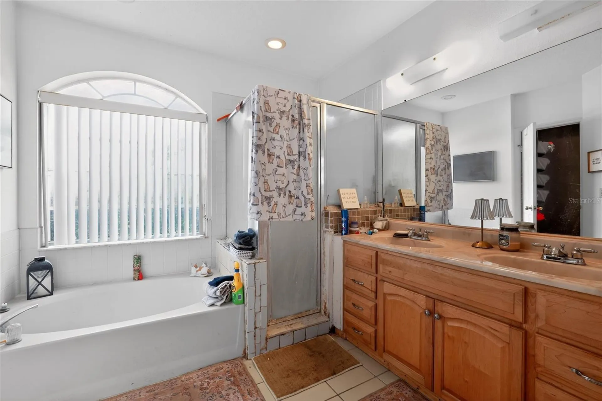 846 Greenbelt Circle Brandon FL 33510