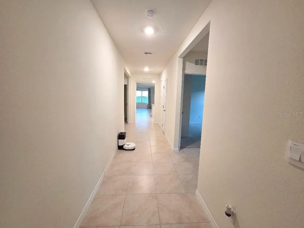 5268 Greenheart Avenue Mount Dora FL 32757
