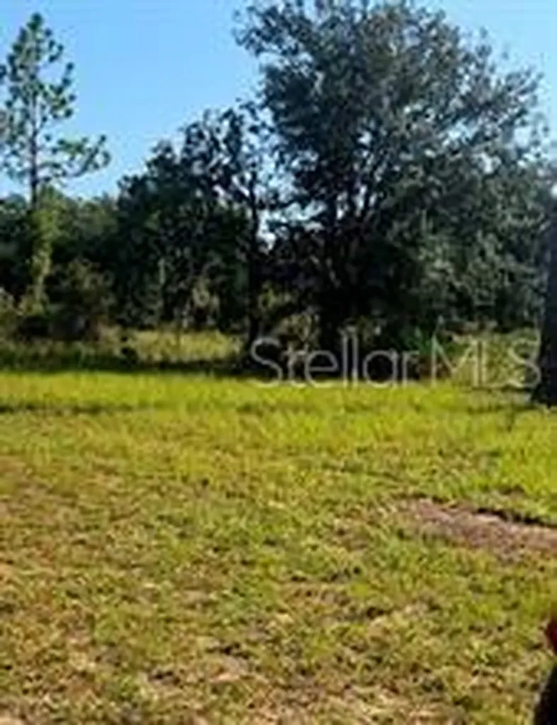 12070 NE 63rd Place Williston FL 32696
