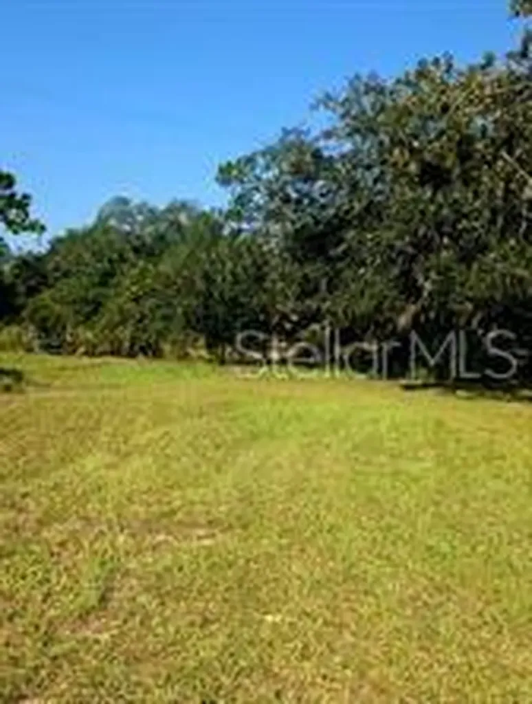 12070 NE 63rd Place Williston FL 32696