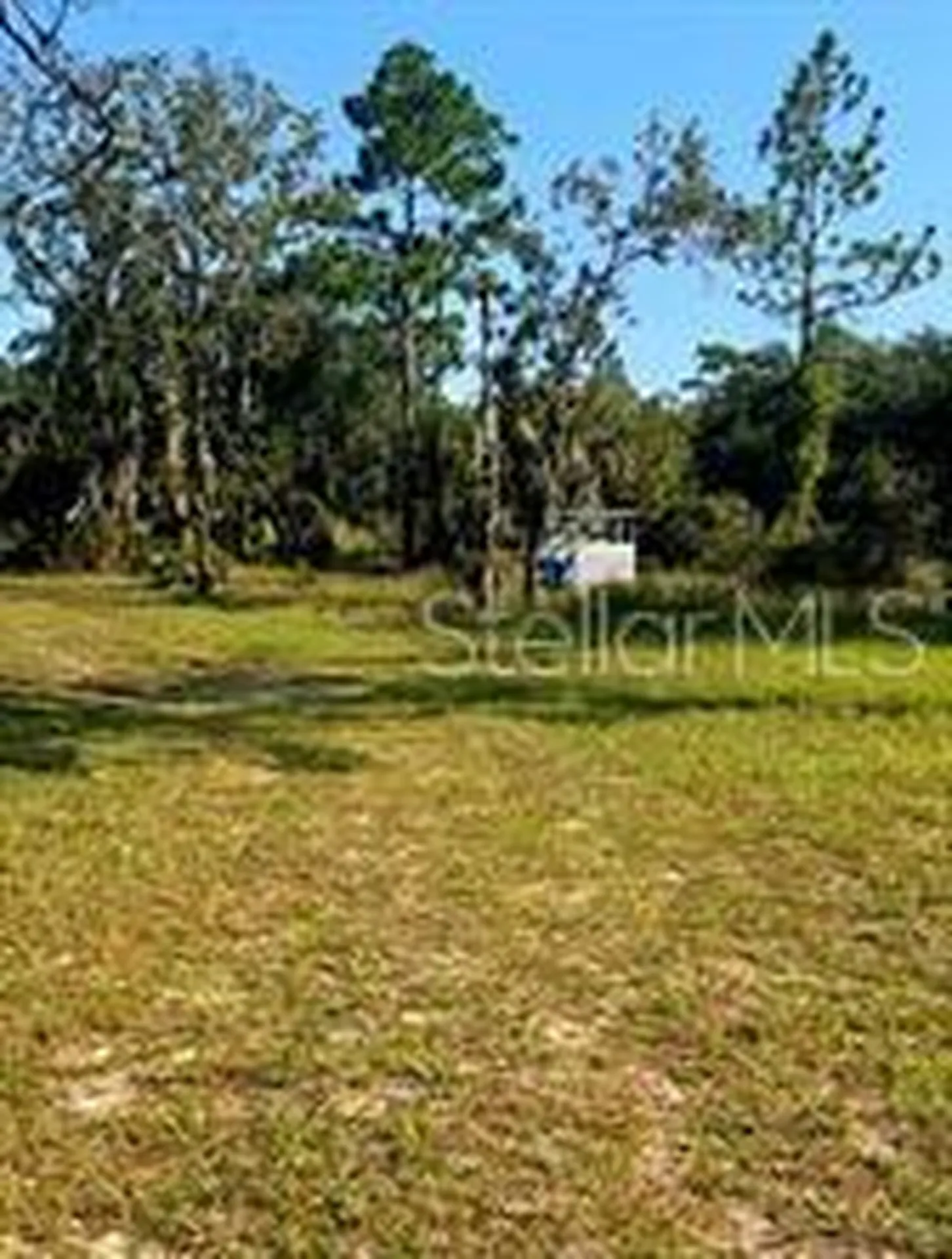 12070 NE 63rd Place Williston FL 32696