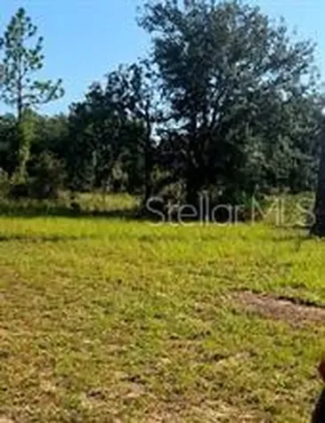 12070 NE 63rd Place Williston FL 32696