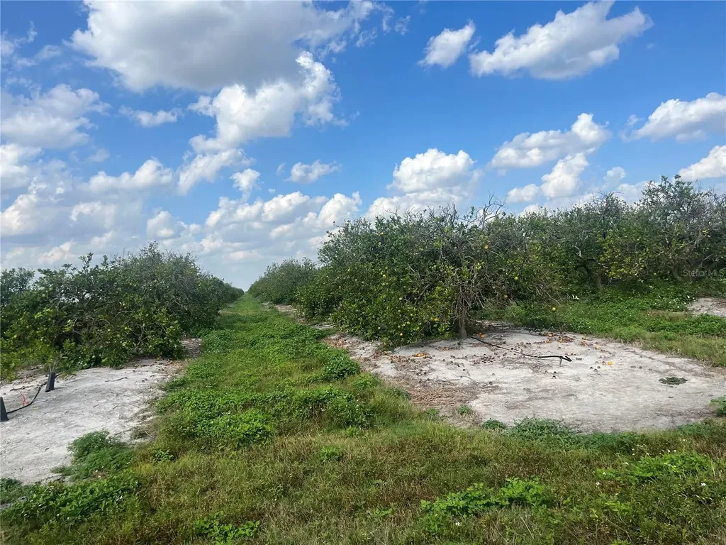 NE Highway 70 Arcadia FL 34266
