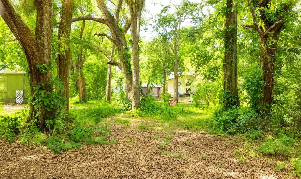 7416 Seagull Way Tampa FL 33635
