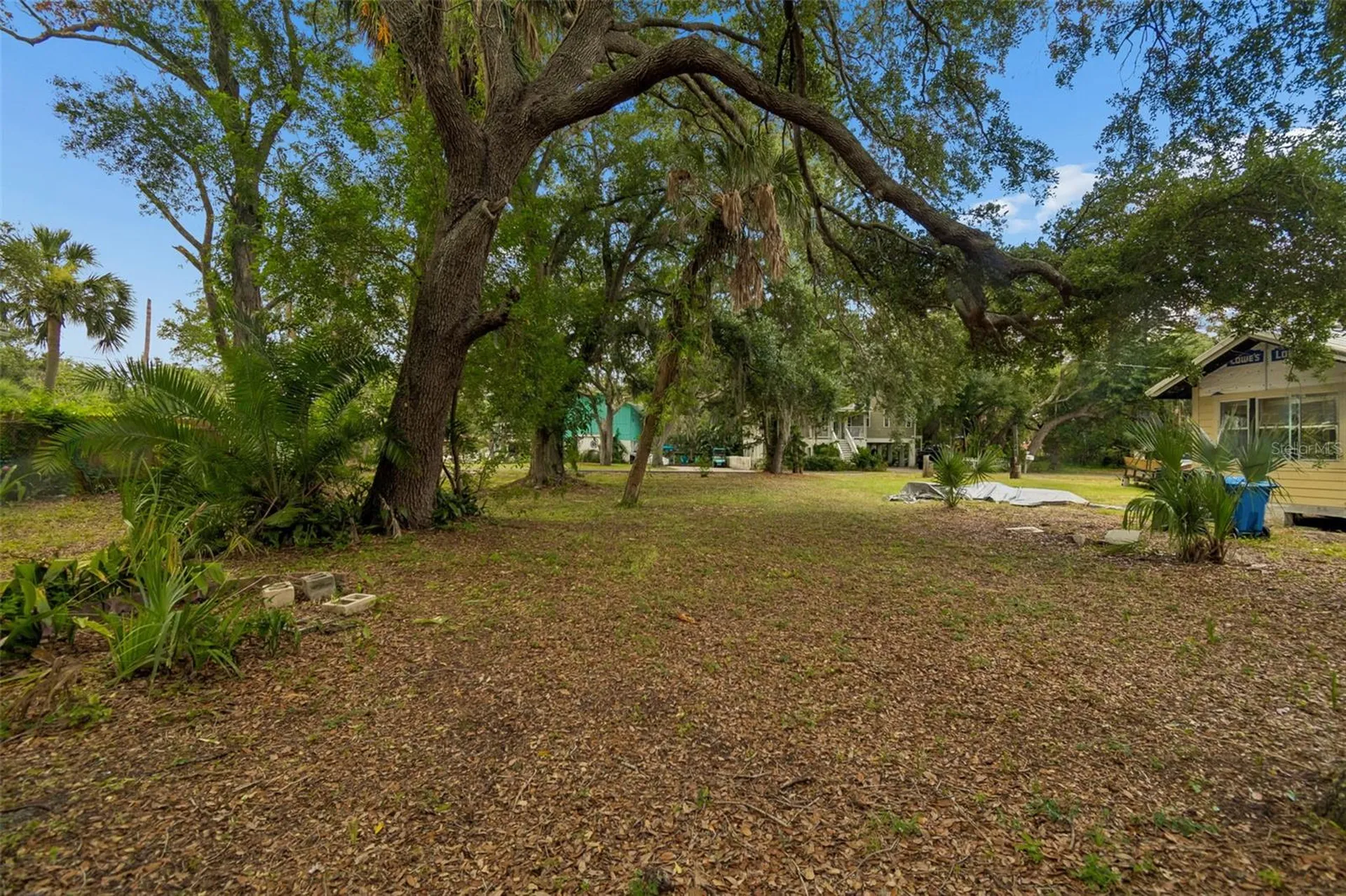 7416 Seagull Way Tampa FL 33635