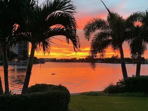 1201 81st Street S St Petersburg FL 33707