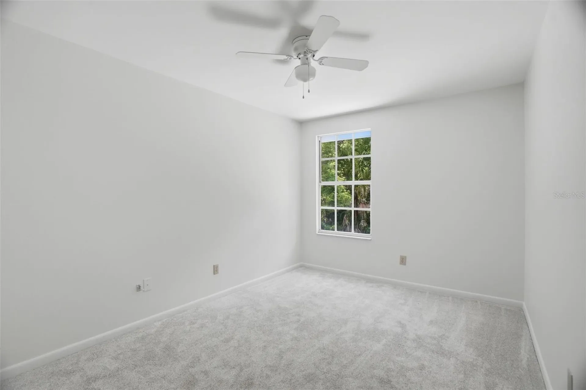16706 Vallely Drive Tampa FL 33618