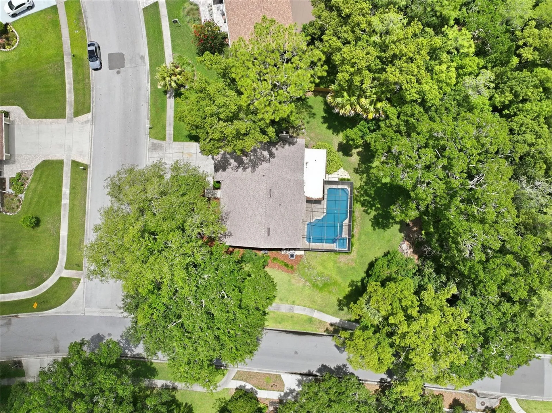 16706 Vallely Drive Tampa FL 33618