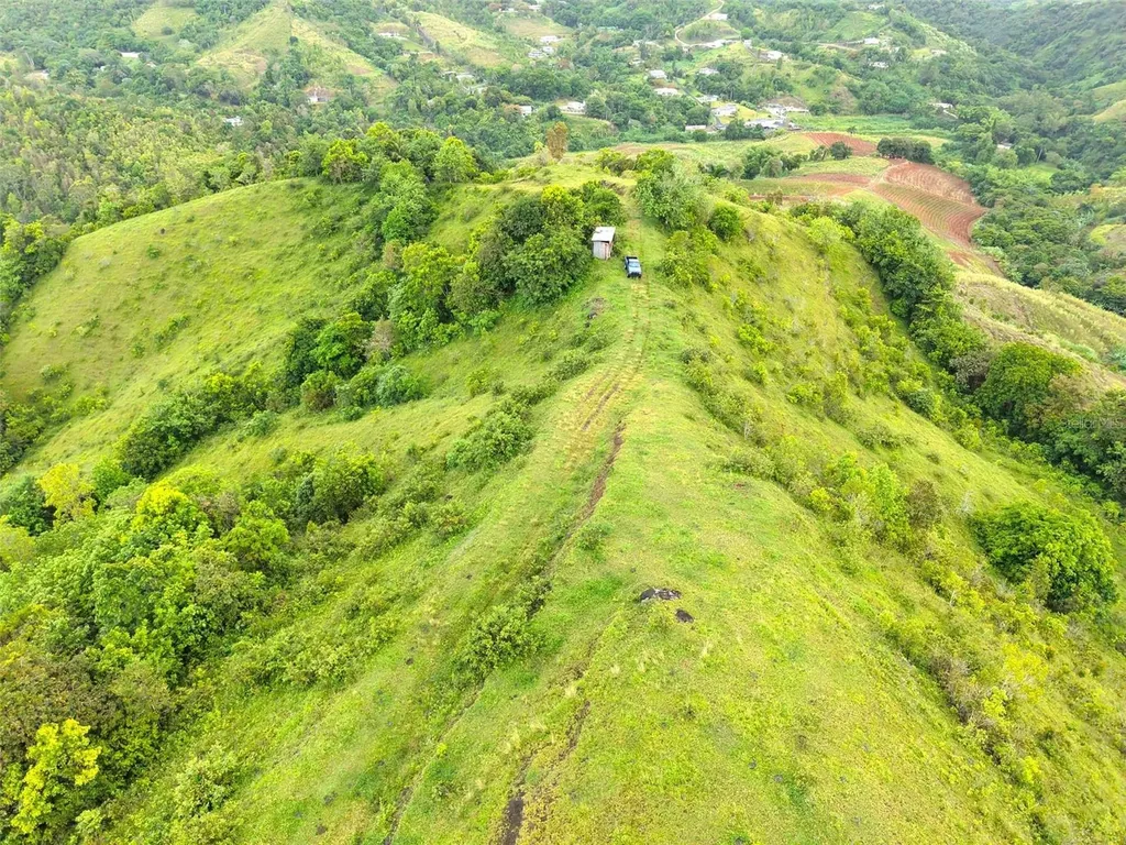 Pr 770 Km 2.9 Palo Hincado Ward Barranquitas PR 00794