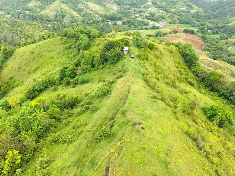 Pr 770 Km 2.9 Palo Hincado Ward Barranquitas PR 00794