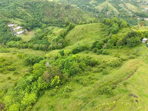 Pr 770 Km 2.9 Palo Hincado Ward Barranquitas PR 00794