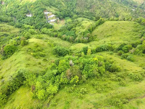 Pr 770 Km 2.9 Palo Hincado Ward Barranquitas PR 00794