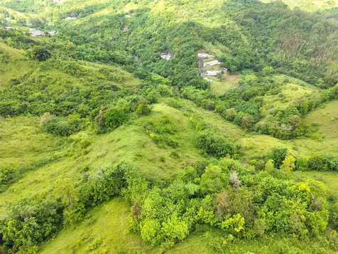 Pr 770 Km 2.9 Palo Hincado Ward Barranquitas PR 00794