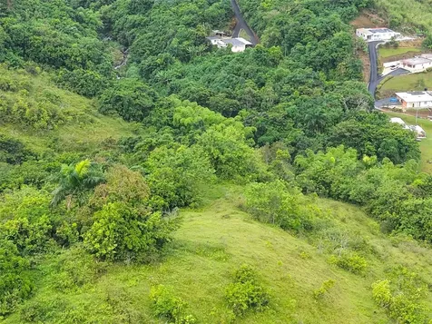 Pr 770 Km 2.9 Palo Hincado Ward Barranquitas PR 00794