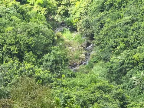 Pr 770 Km 2.9 Palo Hincado Ward Barranquitas PR 00794