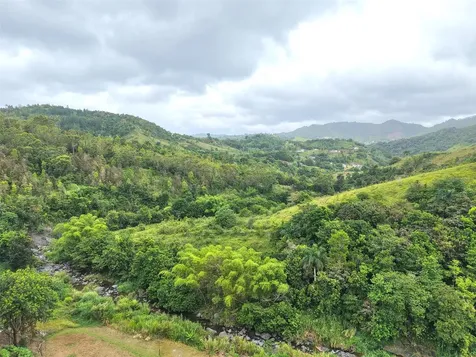 Pr 770 Km 2.9 Palo Hincado Ward Barranquitas PR 00794
