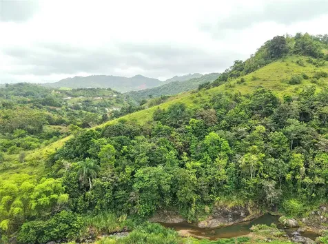 Pr 770 Km 2.9 Palo Hincado Ward Barranquitas PR 00794