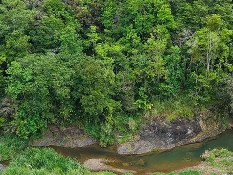 Pr 770 Km 2.9 Palo Hincado Ward Barranquitas PR 00794