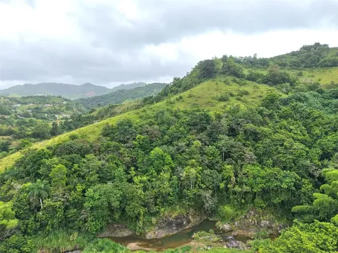 Pr 770 Km 2.9 Palo Hincado Ward Barranquitas PR 00794