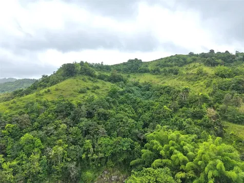 Pr 770 Km 2.9 Palo Hincado Ward Barranquitas PR 00794