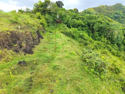Pr 770 Km 2.9 Palo Hincado Ward Barranquitas PR 00794