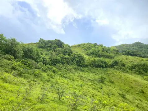Pr 770 Km 2.9 Palo Hincado Ward Barranquitas PR 00794