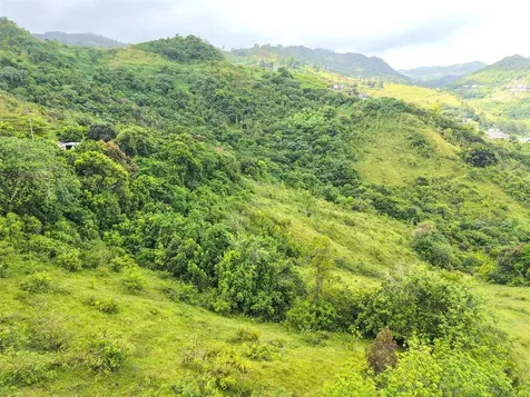 Pr 770 Km 2.9 Palo Hincado Ward Barranquitas PR 00794