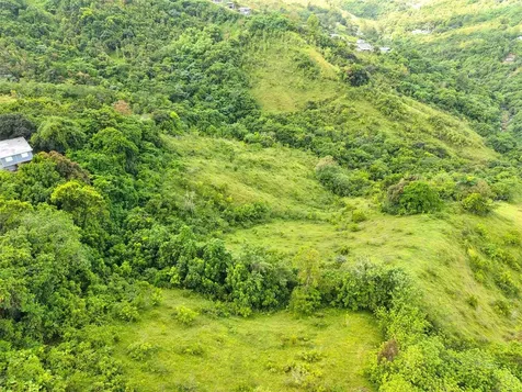 Pr 770 Km 2.9 Palo Hincado Ward Barranquitas PR 00794