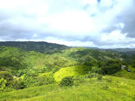 Pr 770 Km 2.9 Palo Hincado Ward Barranquitas PR 00794
