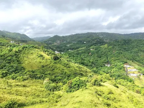 Pr 770 Km 2.9 Palo Hincado Ward Barranquitas PR 00794