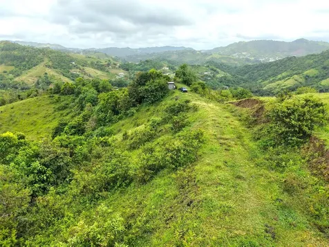 Pr 770 Km 2.9 Palo Hincado Ward Barranquitas PR 00794