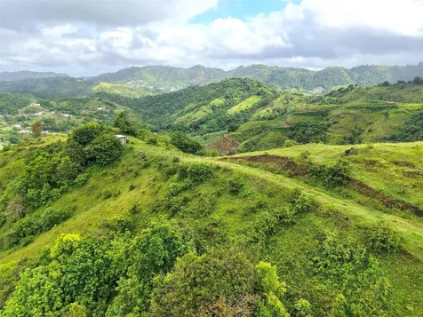 Pr 770 Km 2.9 Palo Hincado Ward Barranquitas PR 00794