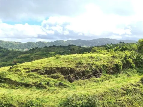 Pr 770 Km 2.9 Palo Hincado Ward Barranquitas PR 00794