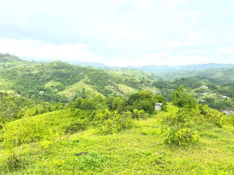 Pr 770 Km 2.9 Palo Hincado Ward Barranquitas PR 00794