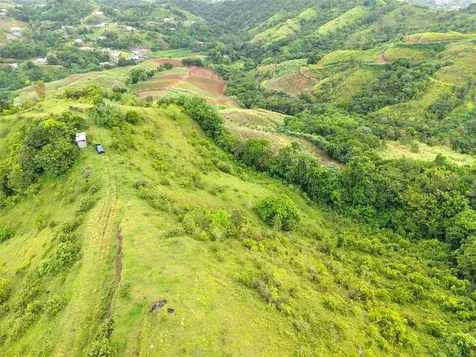 Pr 770 Km 2.9 Palo Hincado Ward Barranquitas PR 00794