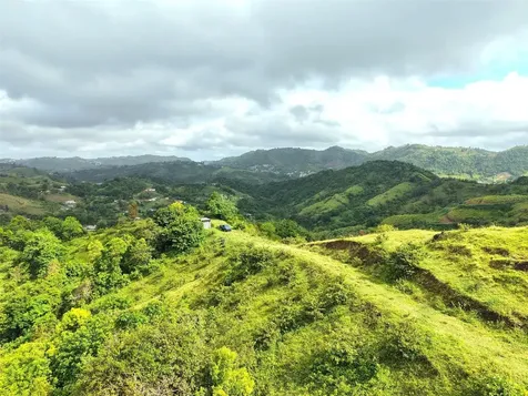 Pr 770 Km 2.9 Palo Hincado Ward Barranquitas PR 00794