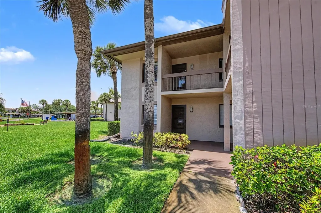202 Mary Drive Oldsmar FL 34677