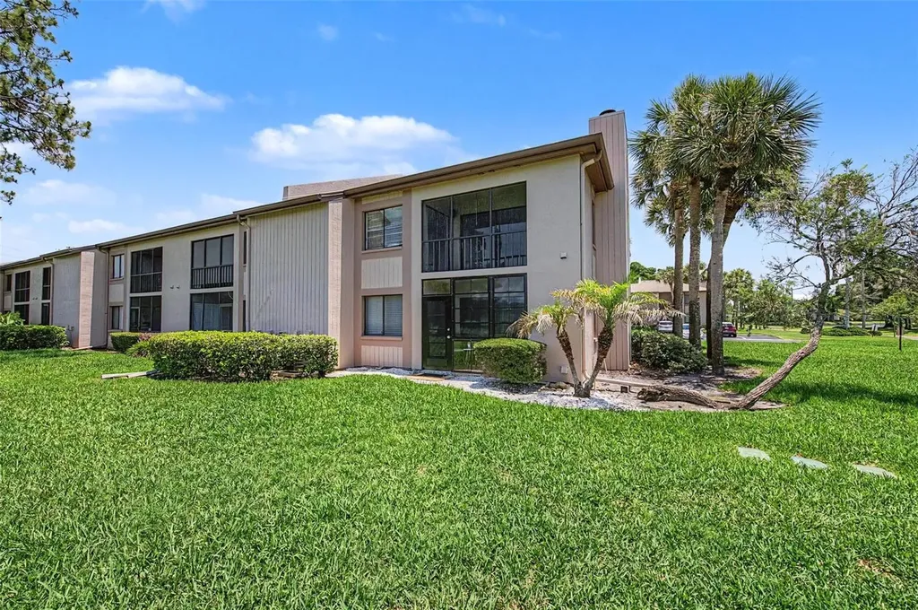 202 Mary Drive Oldsmar FL 34677