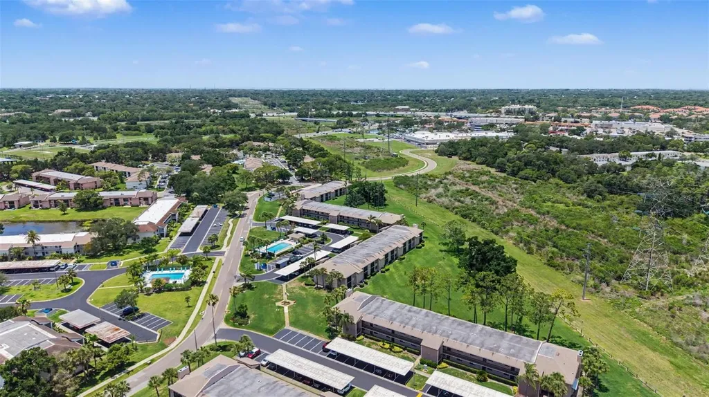 202 Mary Drive Oldsmar FL 34677