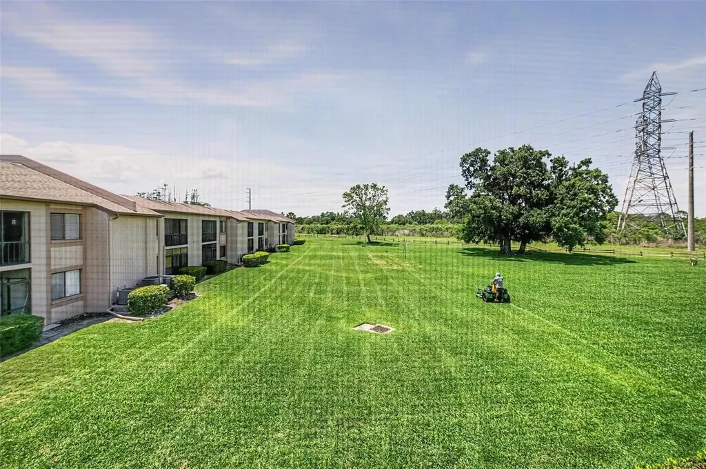 202 Mary Drive Oldsmar FL 34677