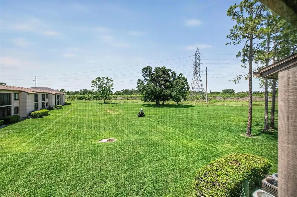 202 Mary Drive Oldsmar FL 34677