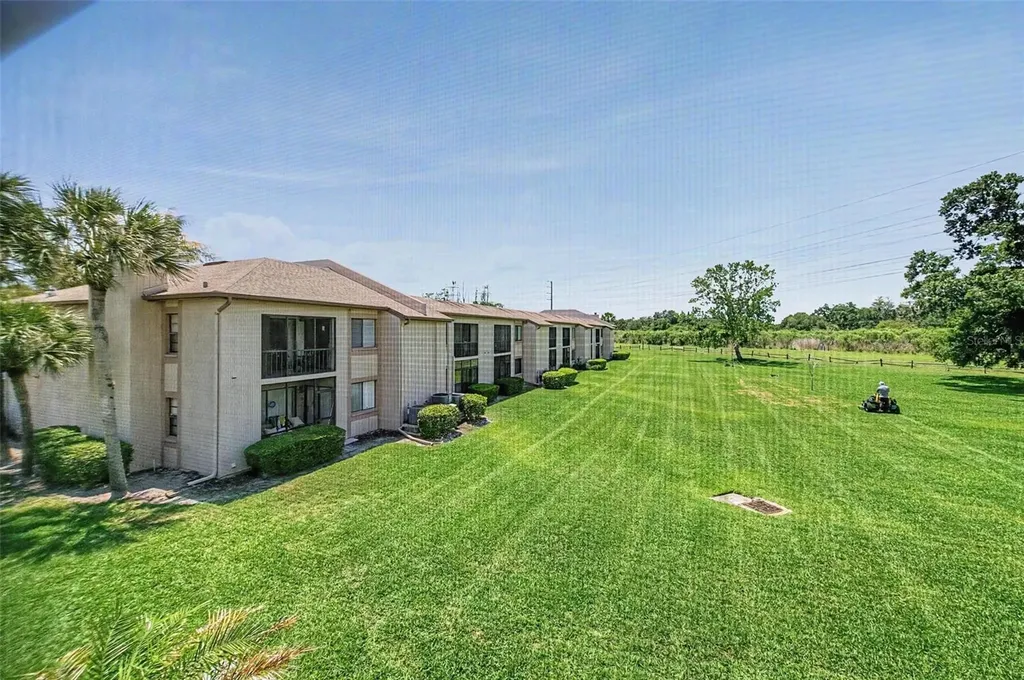 202 Mary Drive Oldsmar FL 34677