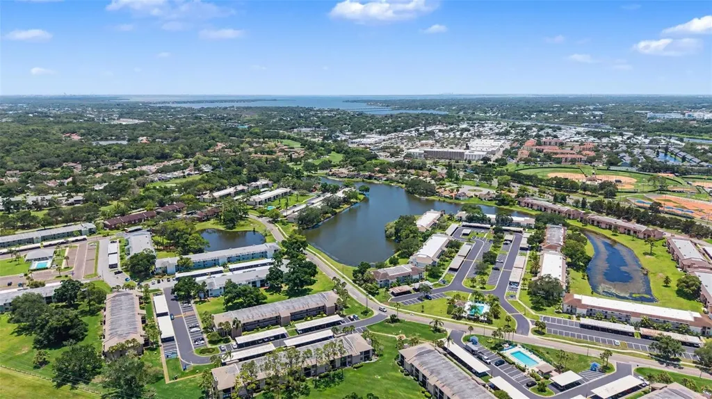 202 Mary Drive Oldsmar FL 34677