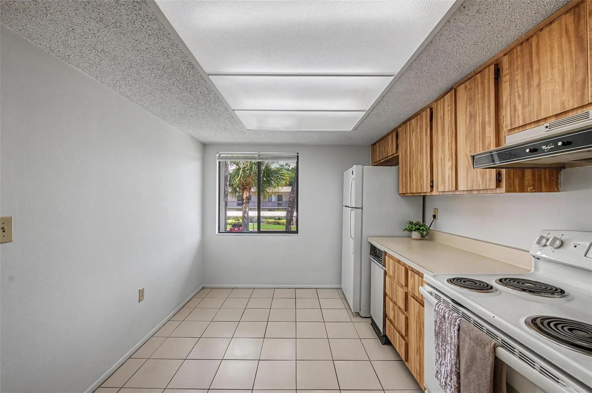 202 Mary Drive Oldsmar FL 34677