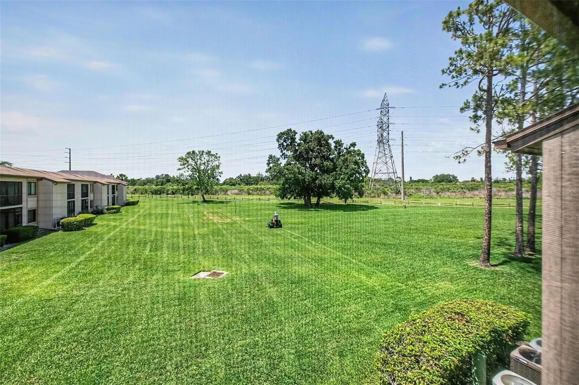 202 Mary Drive Oldsmar FL 34677