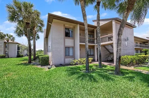 202 Mary Drive Oldsmar FL 34677