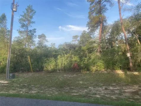 00 SW 50th Terrace Road Ocala FL 34473