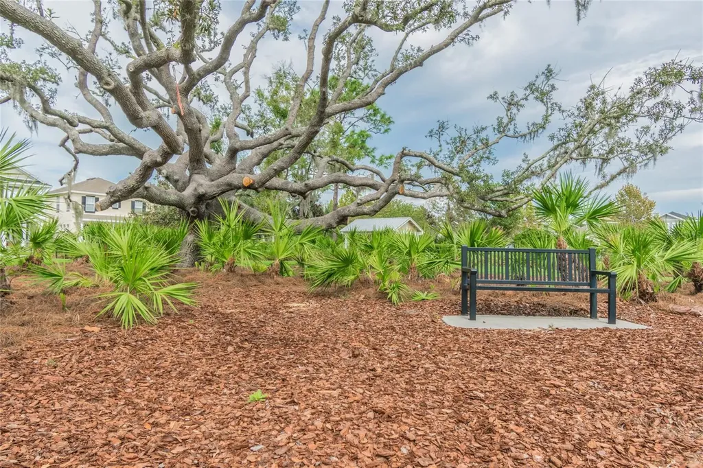 3534 Diaz Street New Port Richey FL 34655