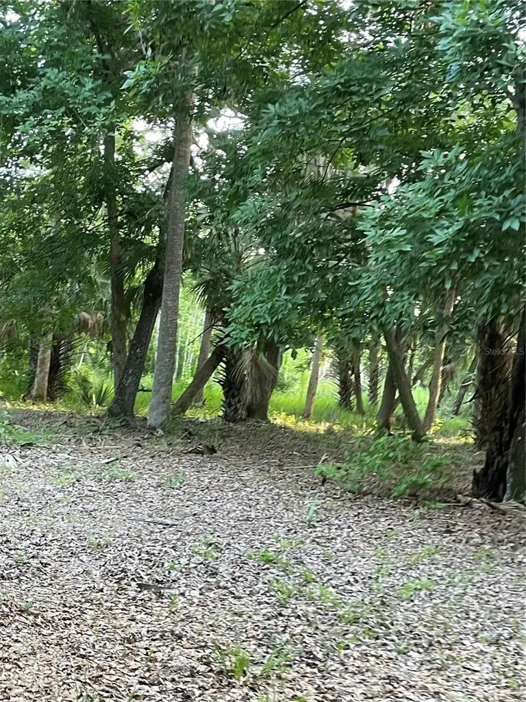 Lake Marion Road W Haines City FL 33844