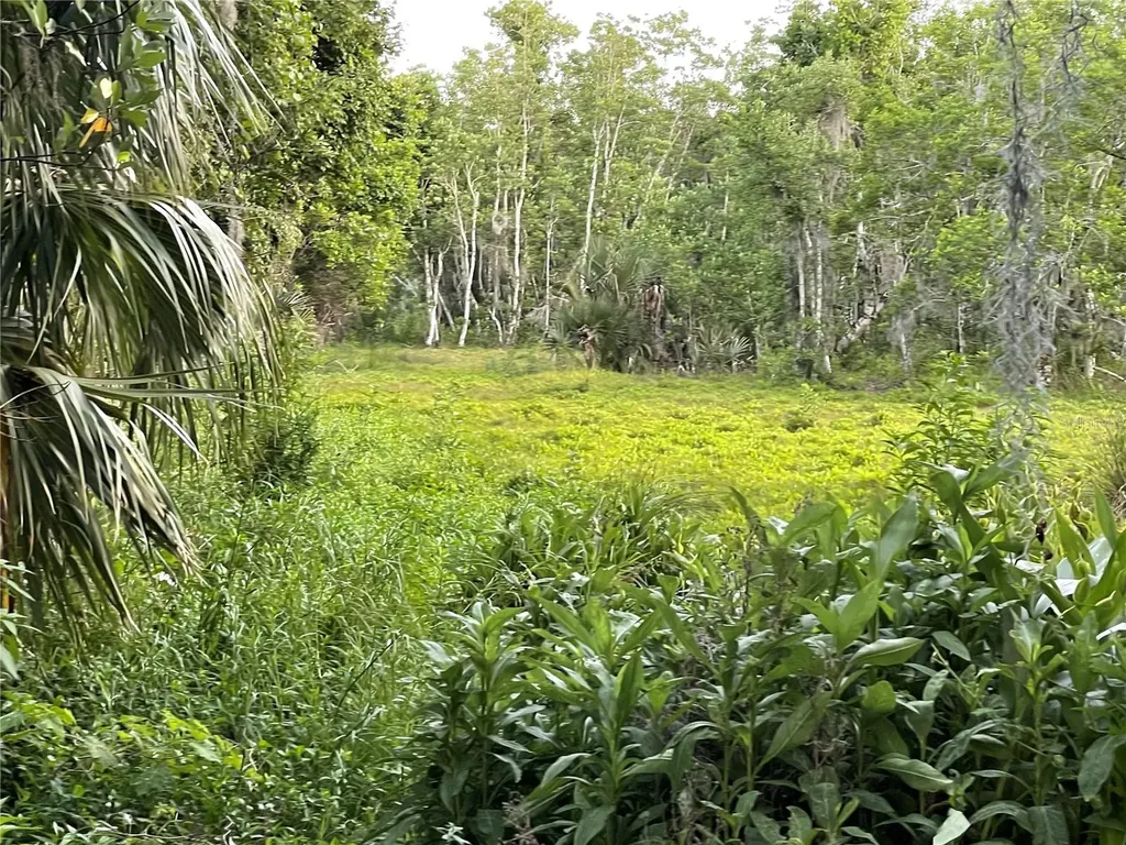 Lake Marion Road W Haines City FL 33844